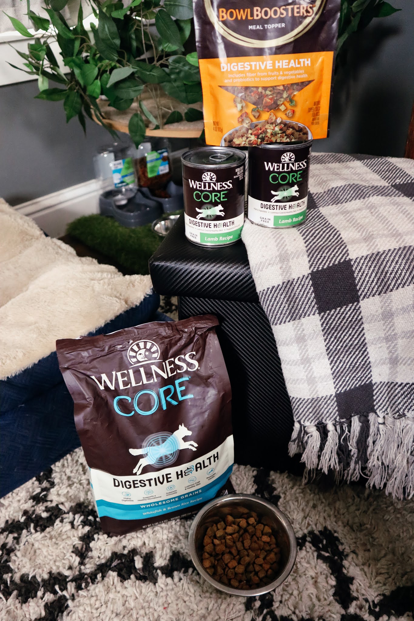 Best Dog Food For Digestive Health Being