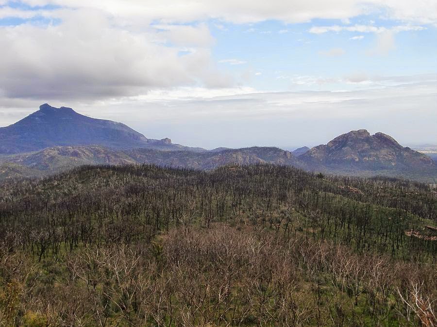 Tink S Travels Inland Nsw To Brisbane Via Tom Tom Gps