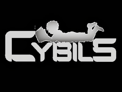 The Cybils 2013
