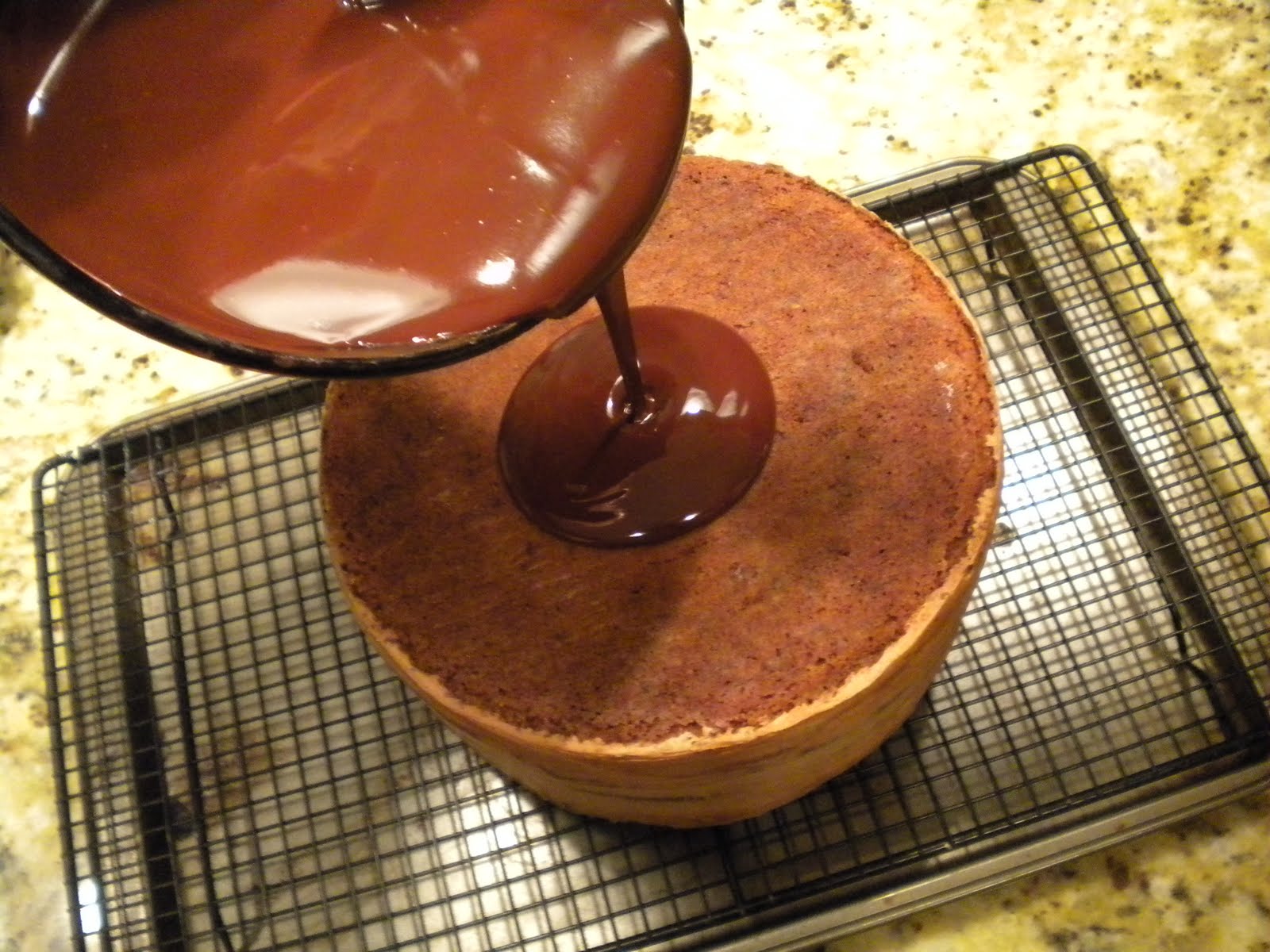 Step by Step Gourmet: Spiced Chocolate Torte Wrapped in Chocolate Ribbons