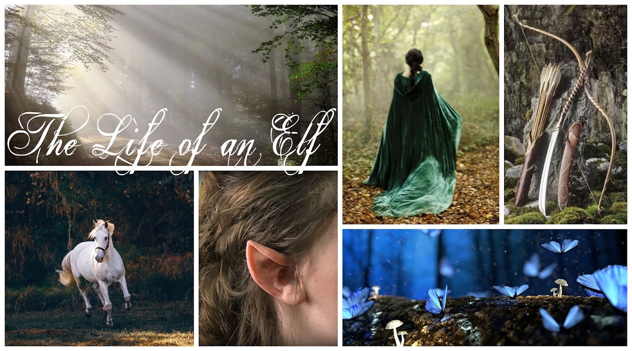 The Life Of An Elf