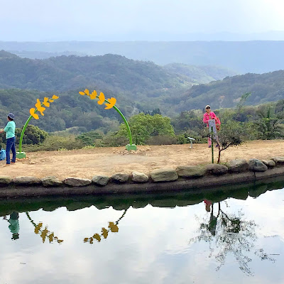 桃園龍潭景點[大北坑休閒農業區] 戀戀魯冰花˙吃喝玩樂盡在其中