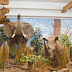 Museum Rahmat Internasional Wildlife Galery Museum Rahmat Internasional Wildlife Galery