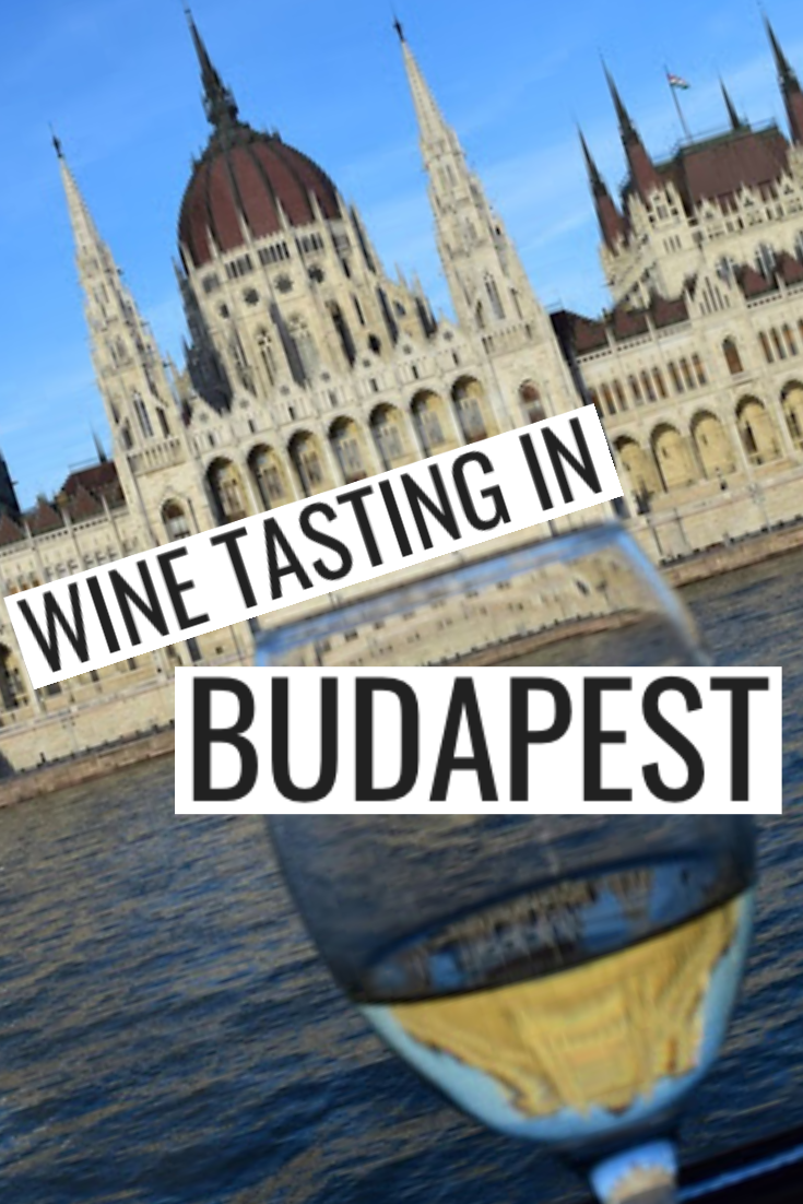 wine tasting tours budapest