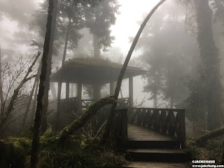 Yilan Cilan|Makauy Ecological Park's Divine Trees Garden-Asia's largest ancient woodland area of Taiwan Cypress.