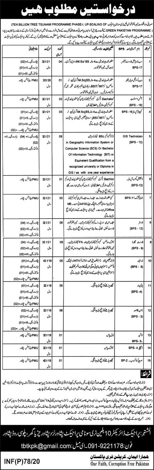 Billion Tree Tsunami Project KPK Jobs 2020