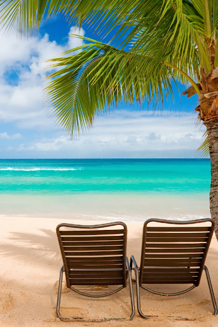 download besplatne slike za mobitele palma ljeto more plaža pijesak stolice