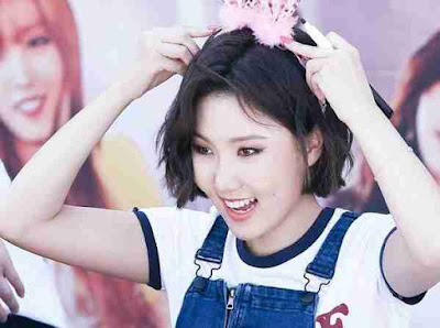 100 Fakta Menarik Hwasa Mamamoo Ahn Hye Jin