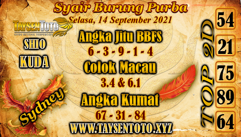 sdy selasa