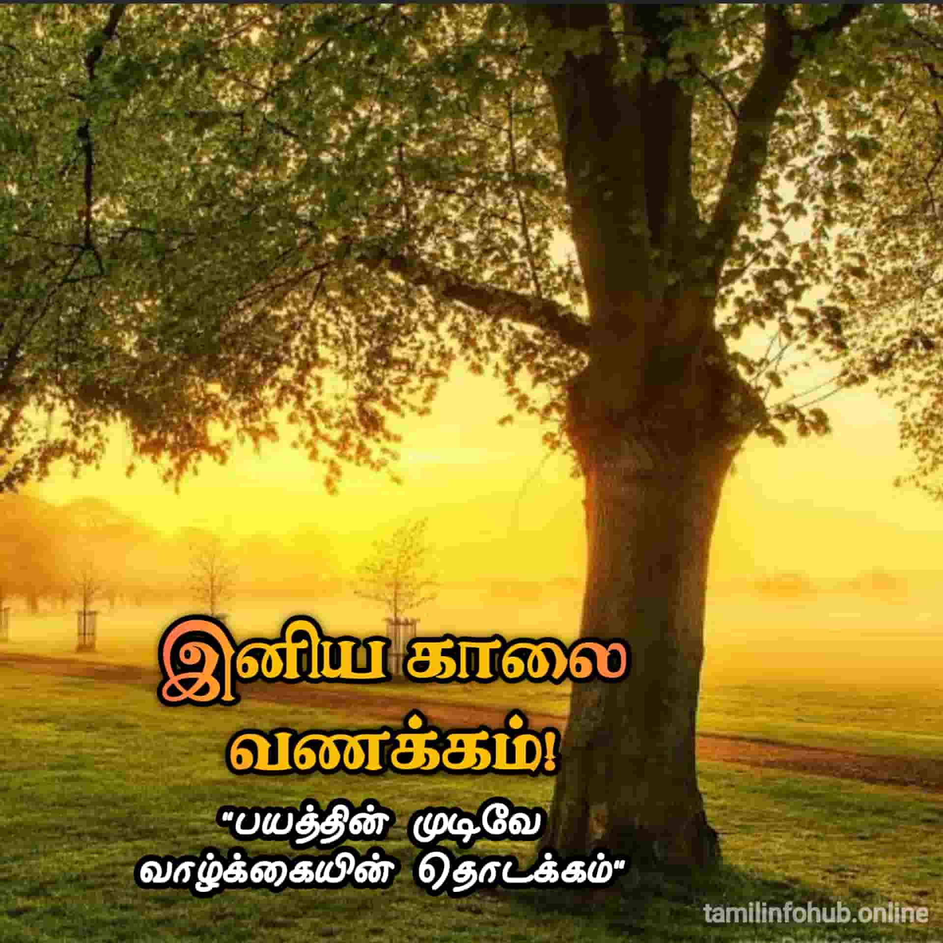 Good Morning Images in Tamil | Good Morning Quotes in Tamil | Good Morning Kavithai Tamil good morning quotes