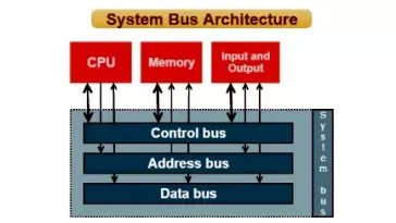 कंप्यूटर बस ( System BUS ) क्या होती है। बस के प्रकार ( Types of BUS ) किते होते हैं। आंतरिक बस, बाह्य बस क्या है।