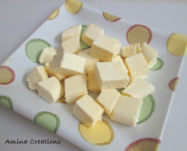 HOW TO MAKE PANEER (COTTAGE CHEESE) AT HOME SugarSkul