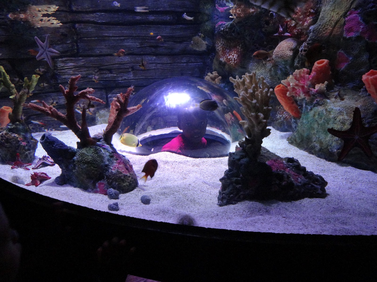 The famn damily Kansas City Aquarium