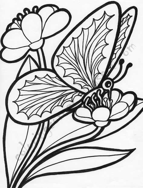 coloring of flowers