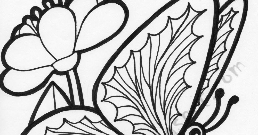 Effortfulg: Coloring Pages Flowers And Butterflies