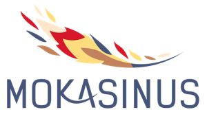 www.mokasinus.lt