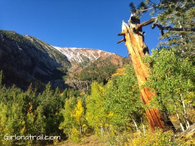 Hiking Ibapah Peak, Deep Creek Mountains, Utah