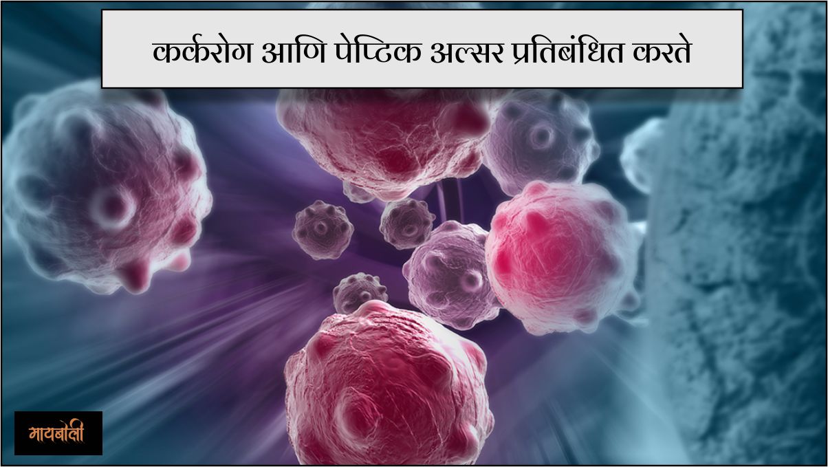 लसूण खाण्याचे फायदे लसूण खाण्याचे फायदे