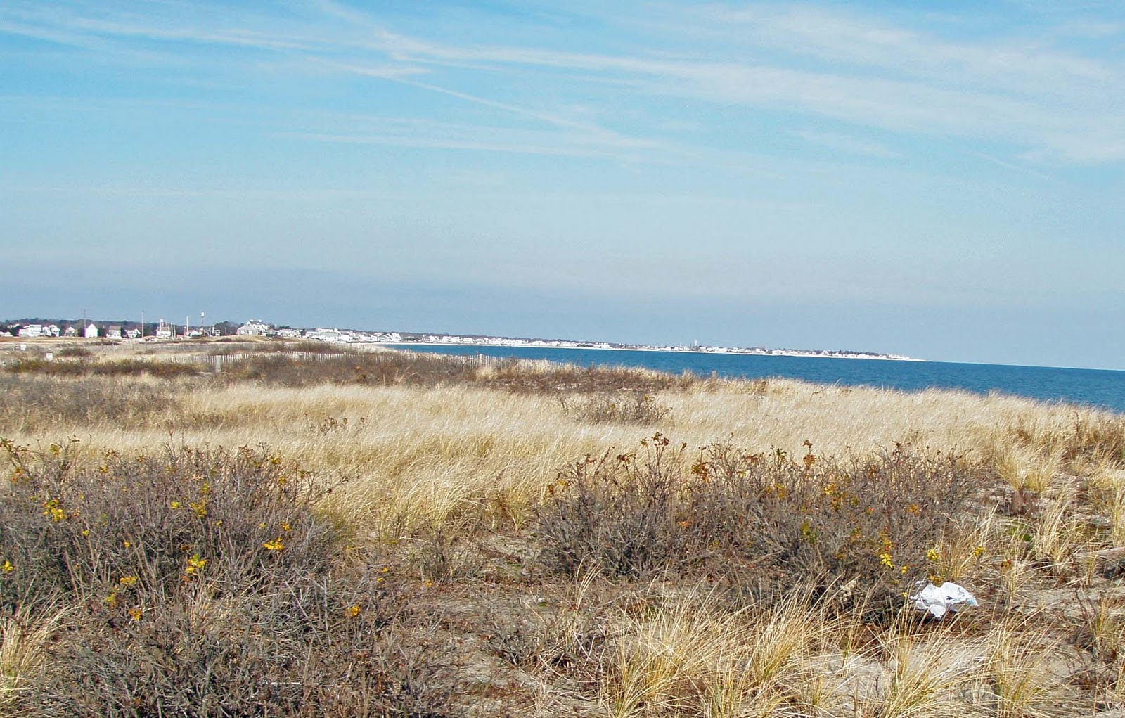 Morning Dew Duxbury Beach and Marshfield Beach