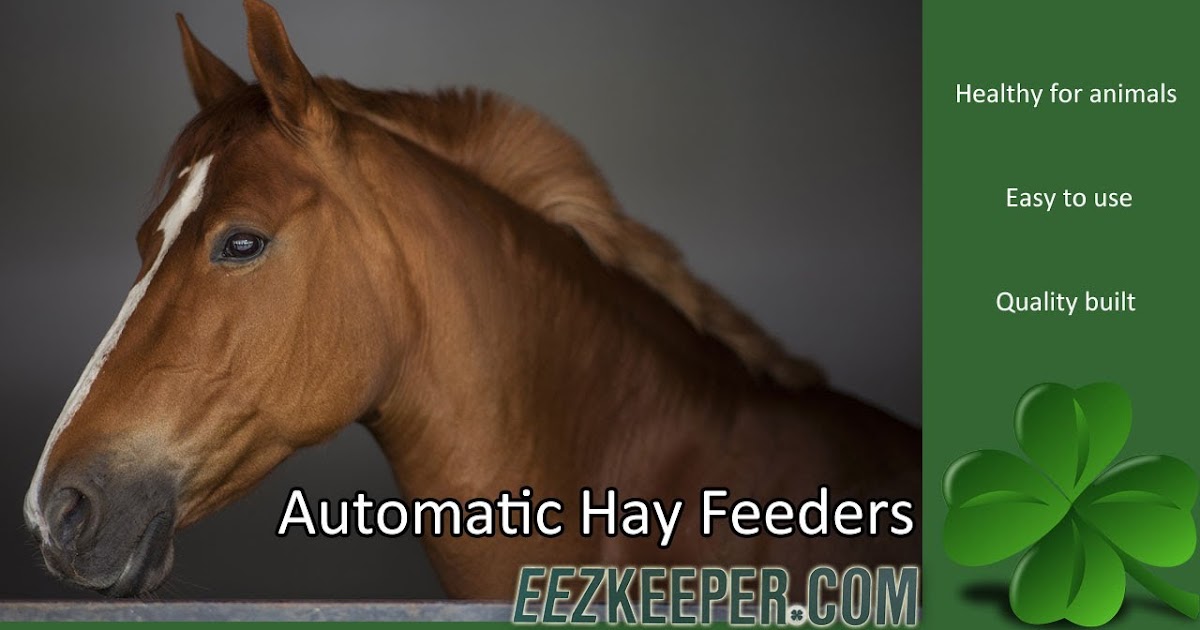 The Benefits of Using Slow Hay Feeders for Horses