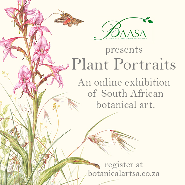 Botanical Artists Association of Southern Africa