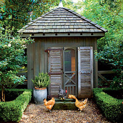 chicken coop coops chickens living southern backyard designs houses rustic garden unique plans gardens creative martha stewart adorable amazing does