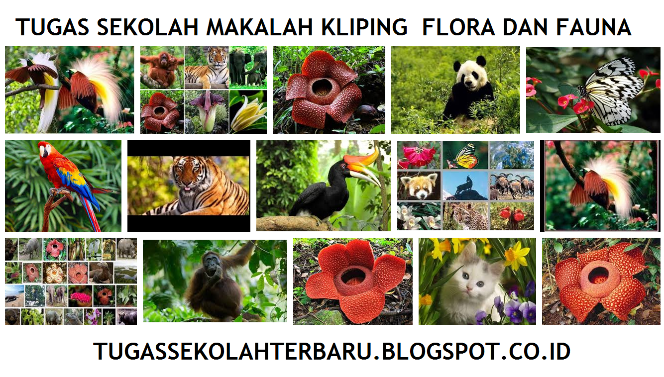 Tugas Sekolah Makalah Kliping Flora  dan Fauna Tugas Sekolah
