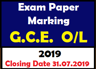 Exam Paper Marking GCE O/L 2019 