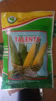 harga benih jagung manis, benih pertiwi, Talenta, manfaat jagung, jual benih jagung manis, toko pertanian, toko online,lmga agro