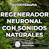 Regenerador Neuronal con sonidos Naturales