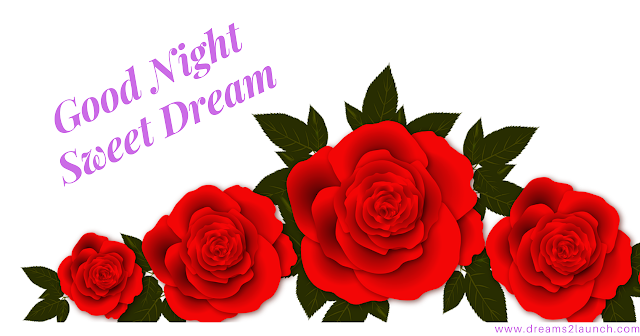 good night red rose