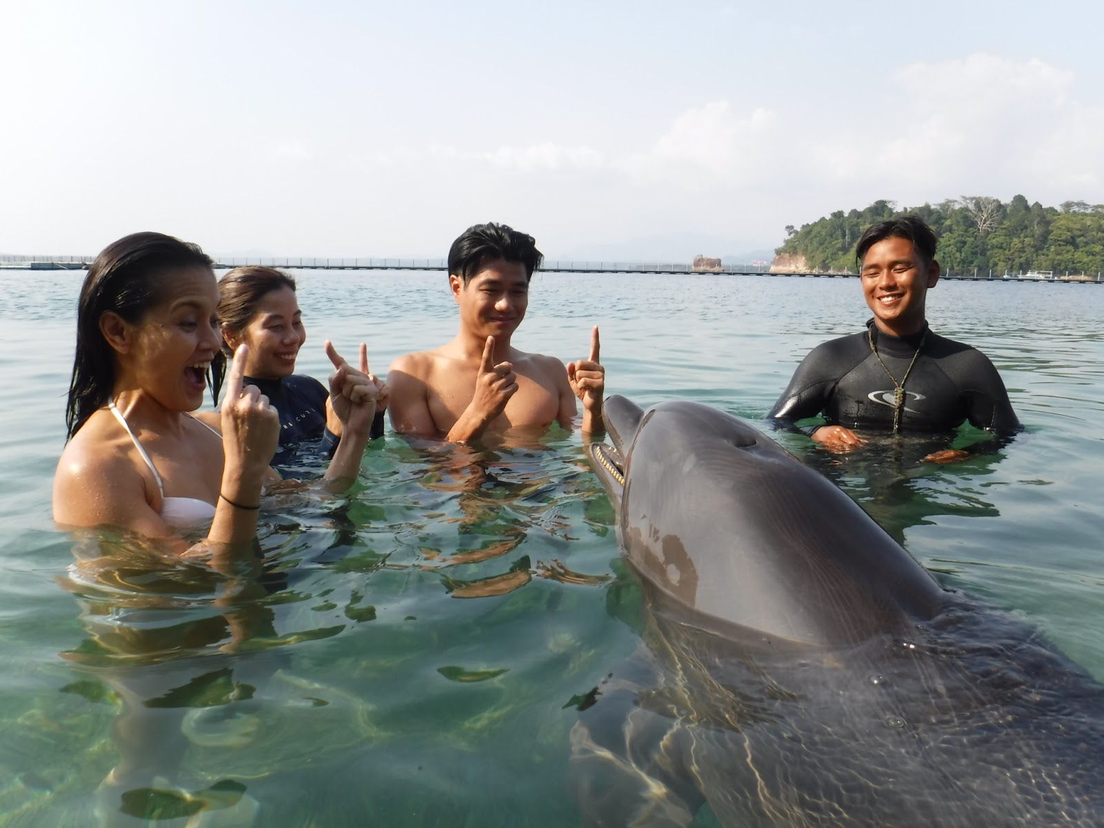 TRAVEL DIARY Fun Things To Do in the Philippines Swim with the