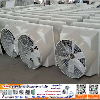 %25E0%25B8%259E%25E0%25B8%25B1%25E0%25B8%2594%25E0%25B8%25A5%25E0%25B8%25A1%25E0%25B9%2584%25E0%25B8%259F%25E0%25B9%2580%25E0%25B8%259A%25E0%25B8%25AD%25E0%25B8%25A3%25E0%25B9%258C%25E0%25B8%2581%25E0%25B8%25A5%25E0%25B8%25B2%25E0%25B8%25AA