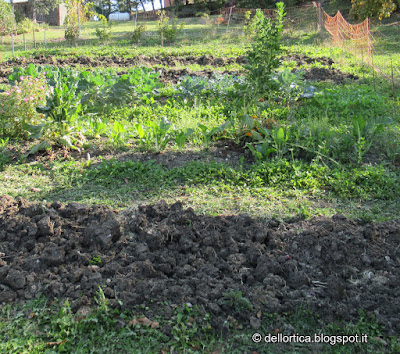 L'orto della fattoria didattica dell'ortica a Savigno ValsamoggiaBologna  in Appennino vicino Zocca