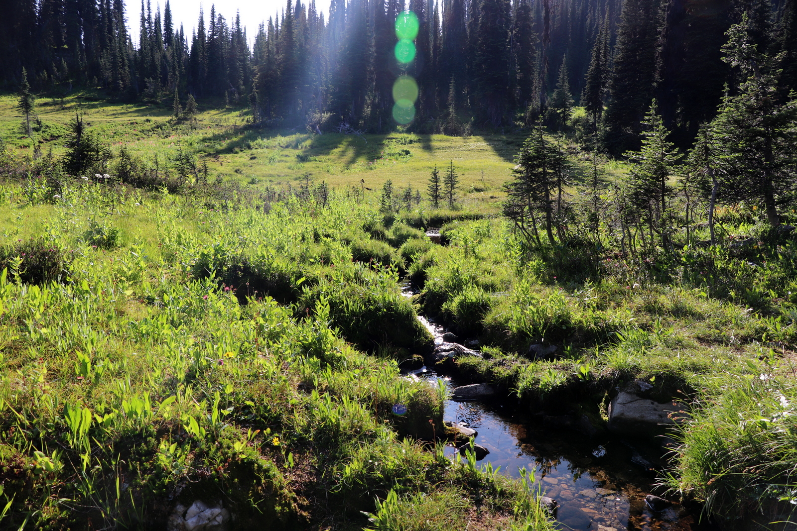 Канада2019: день 9 