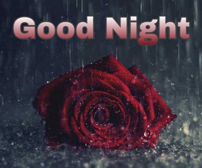 Download 25+ Cute Good night Images Download 25+ Cute Good night Images