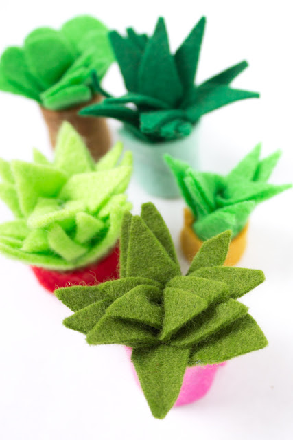 how to make tiny felt succulents with kids- super cute craft that also makes a great DIY gift