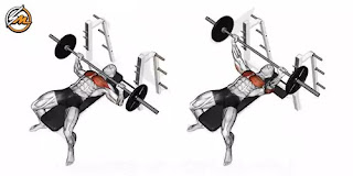 7 Best Chest Exercises For Building Muscle