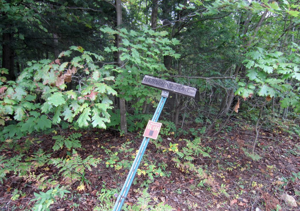 Windswept Adventure Part 1 A Rainy Day In Brasher State Forest