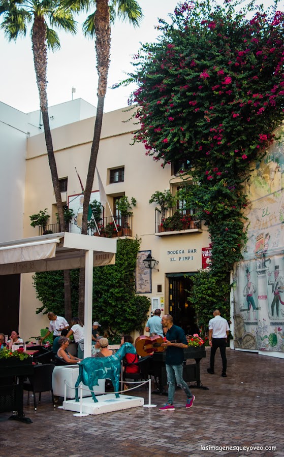 8 imprescindibles que ver en Málaga