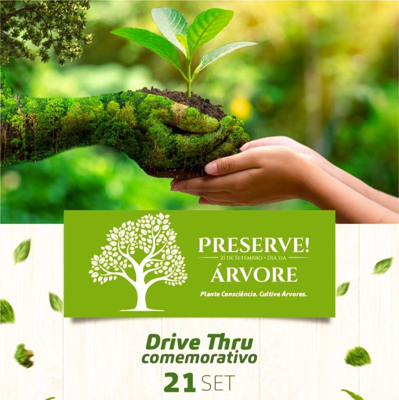 Dia da Árvore: Secretaria de Meio Ambiente distribui mudas de plantas nesta terça-feira 