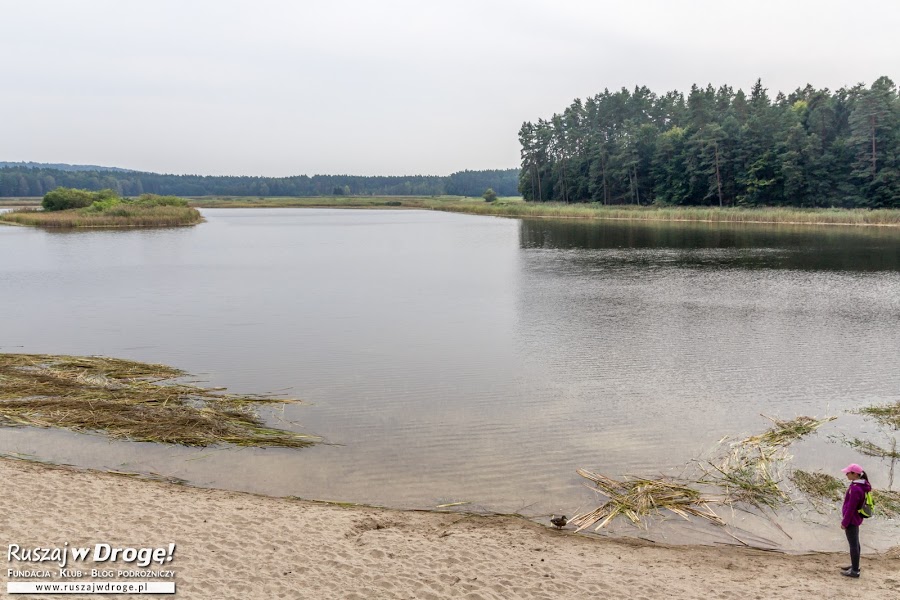 Kto pierwszy zrezygnuje? Nad Stawami Echo w Zwierzyńcu