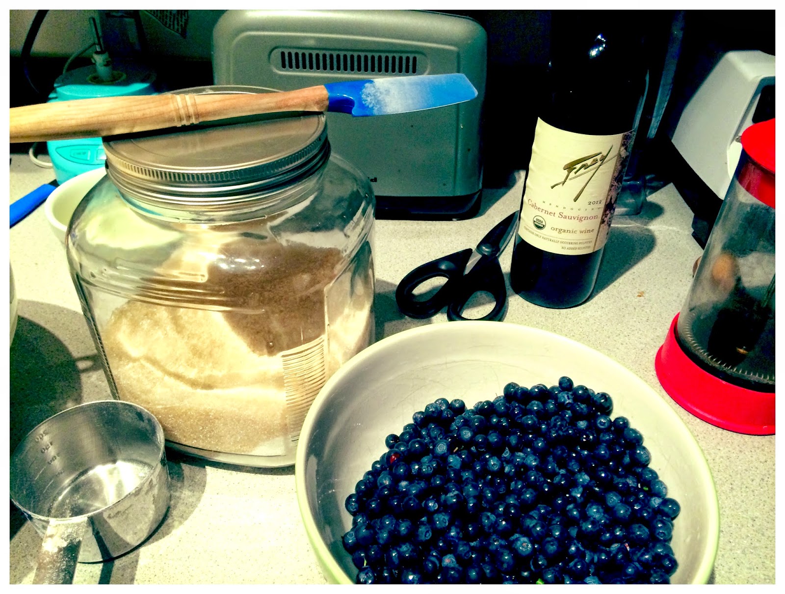 Juneau Outdoor Family Network Berry Picking A wealth of opportunity