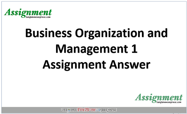 Business Organization and Management 1 Assignment Answer