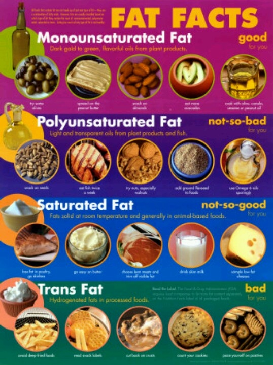 Philly Phittie Healthy Fats vs. Bad Fats