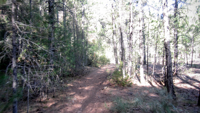 Sendero Vallejo de La Lobera