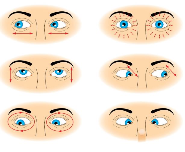 Eyes Excercise  Eyes Excercise