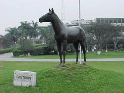 Santorín, el histórico. | PuraSangre
