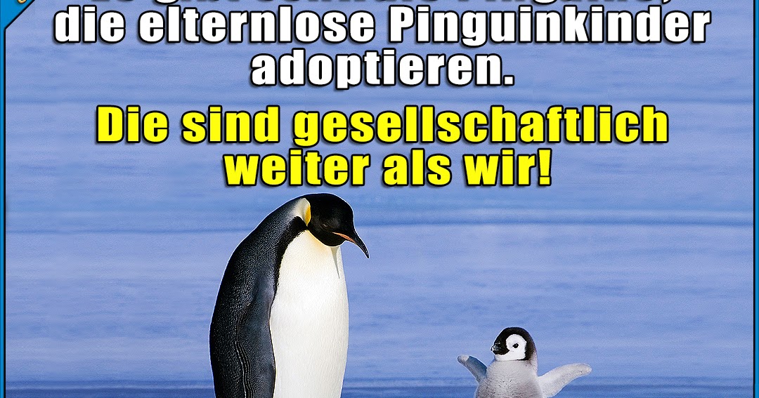 Zitate Kuss Zitat Goethe Kuss 2020 03 11