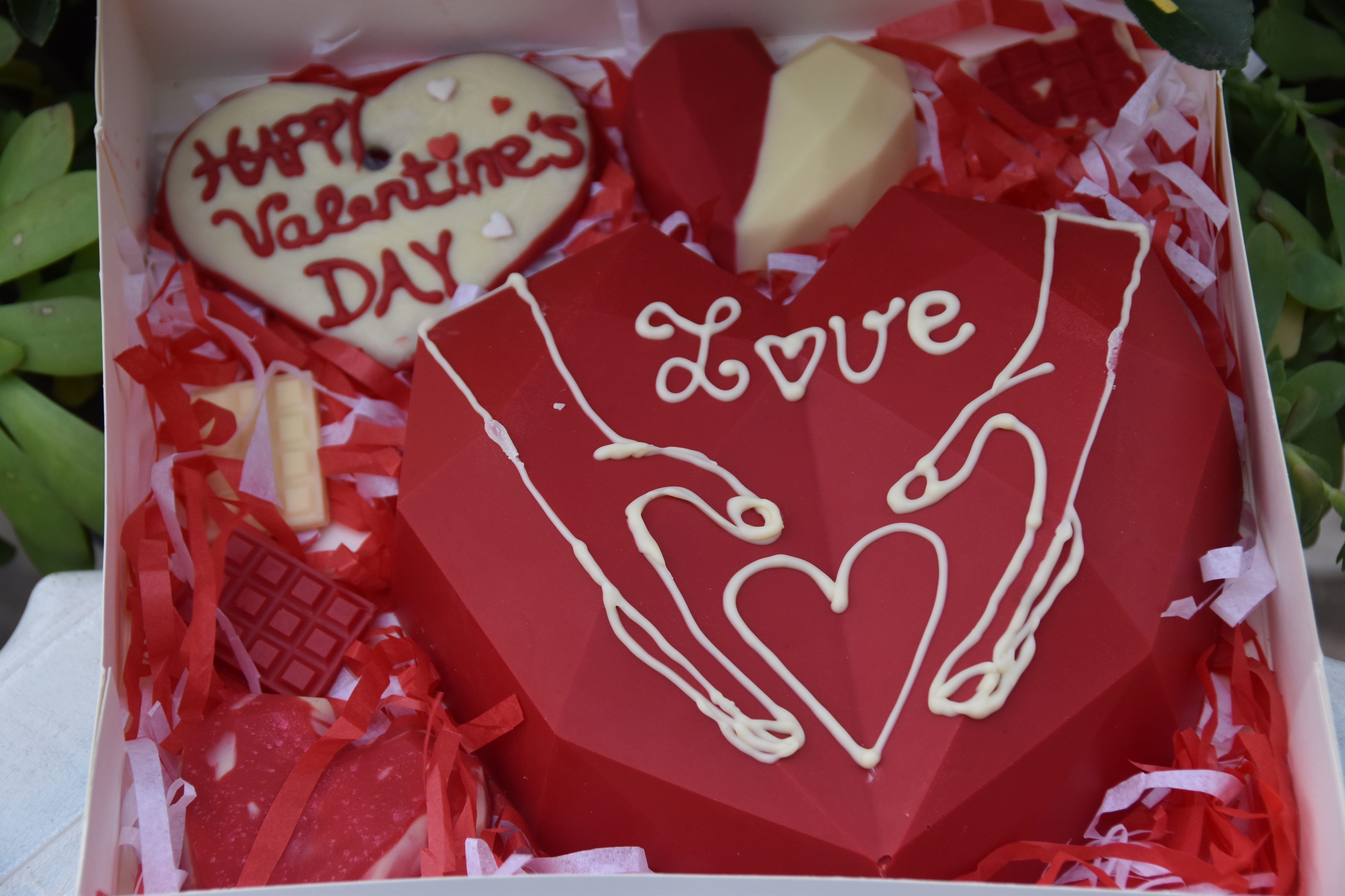 L’attribut alt de cette image est vide, son nom de fichier est DSC_0655.JPG.